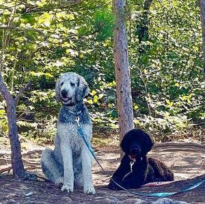 Fundraising Page: Sandy Barry